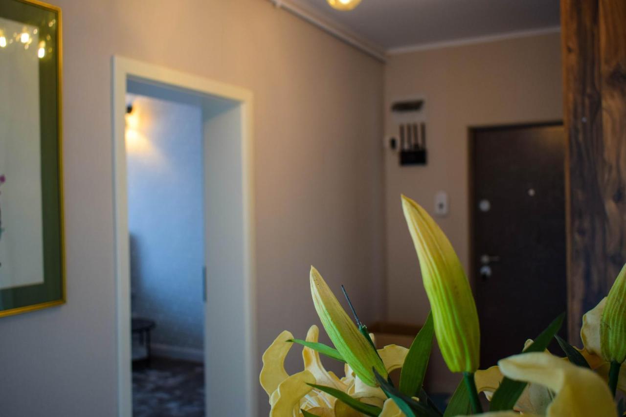 Heltau Jacuzzi Penthouse Cisnădie Exterior foto